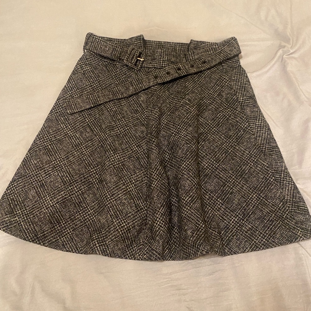 Zara A-line skirt (XS)